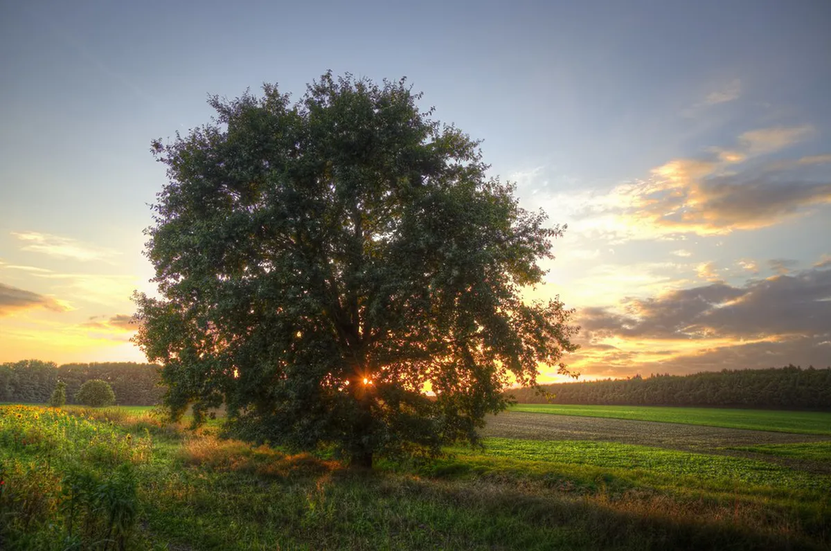 Dress Code for Brno Rooftop Bars: 2026 Style Guide
