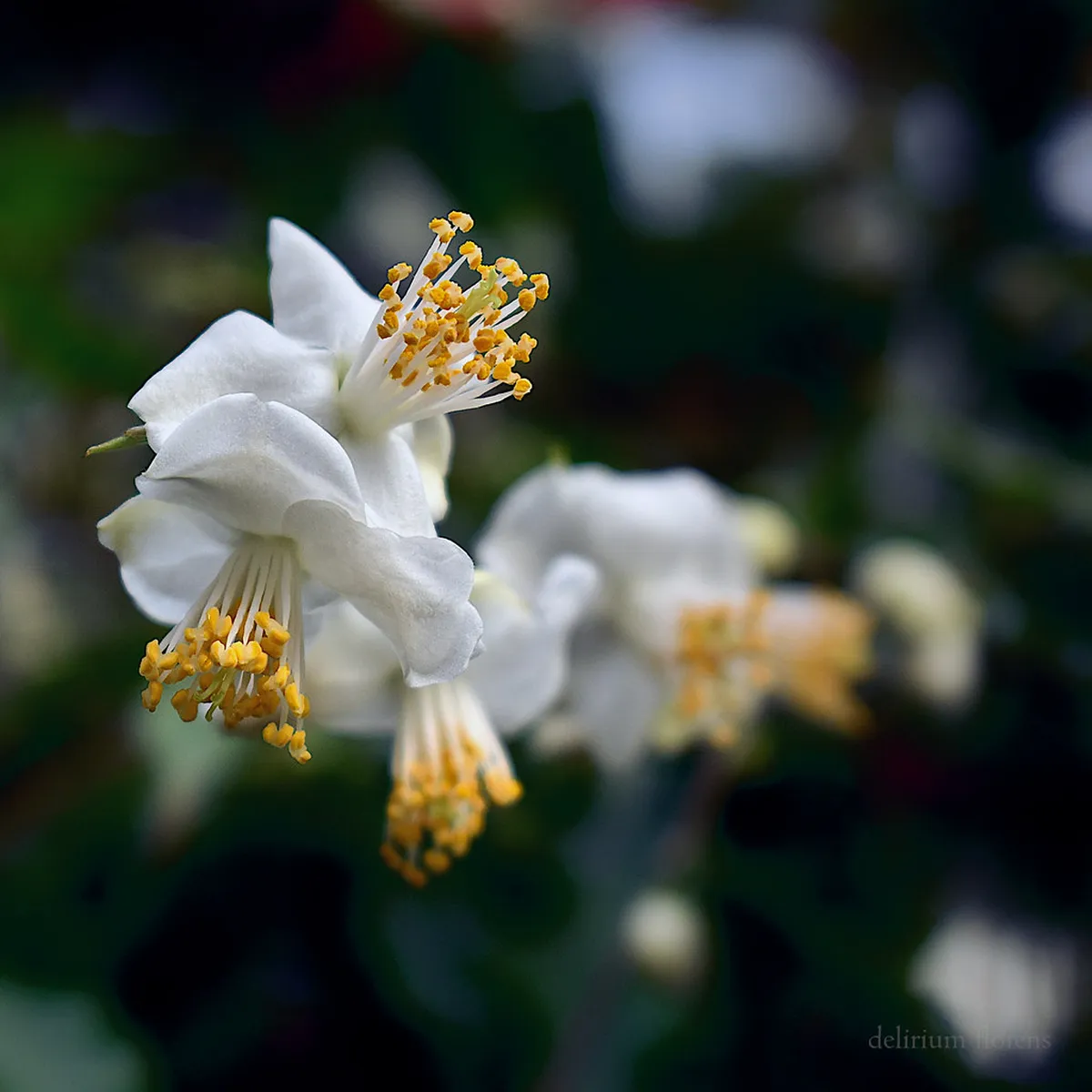 Getting from Brno to Olomouc by Train Guide