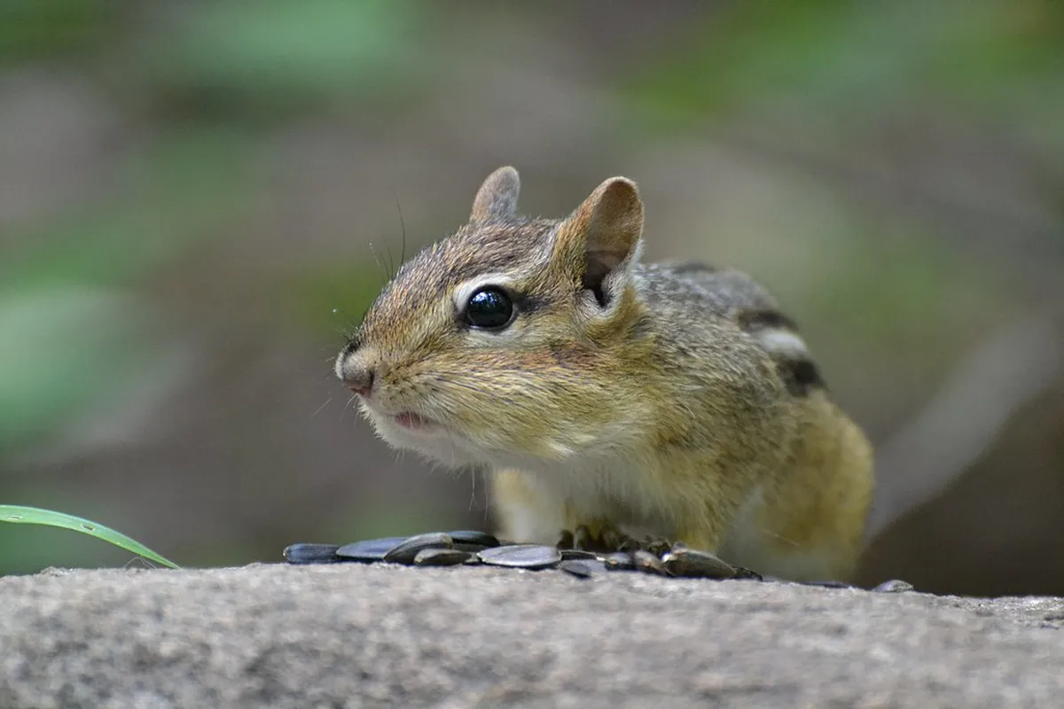 How to Visit Kroměříž Archbishop's Palace by Train
