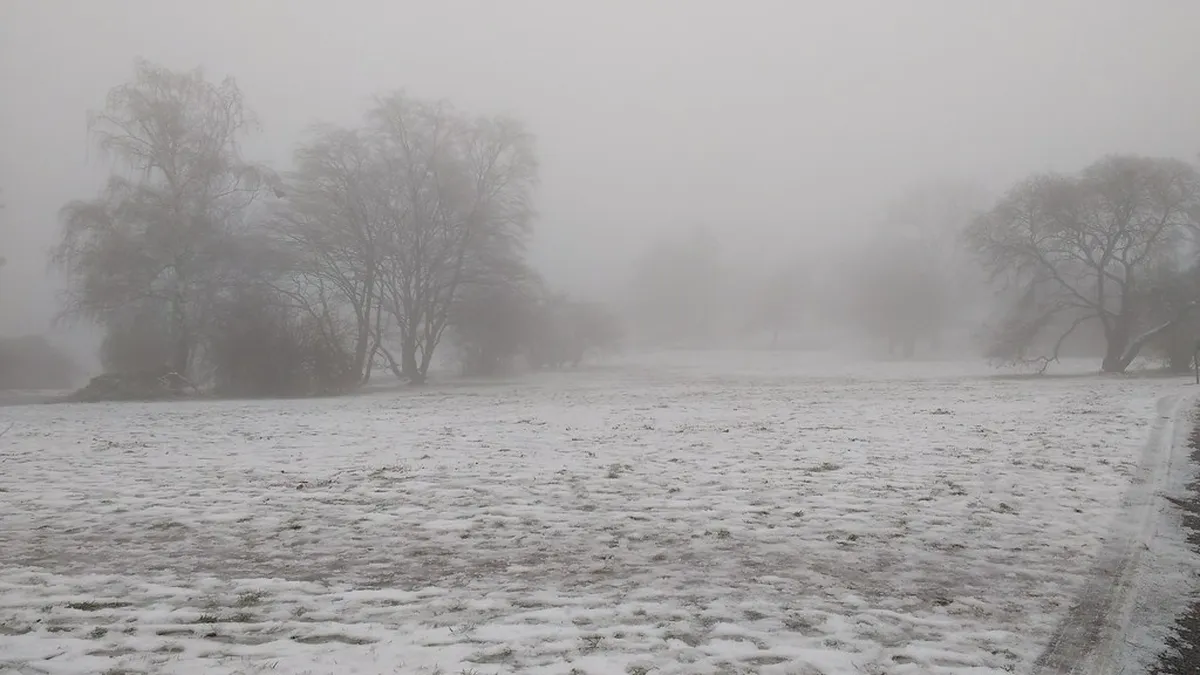 Plan the Perfect Kraví Hora Park Sunset Picnic in Brno
