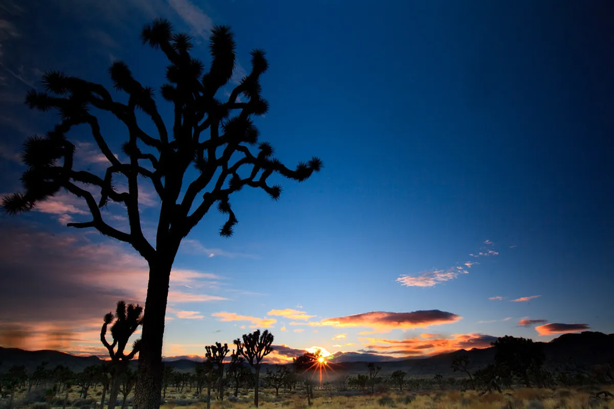Picnic Spots with Sunset Views Brno: 5 Top Picks
