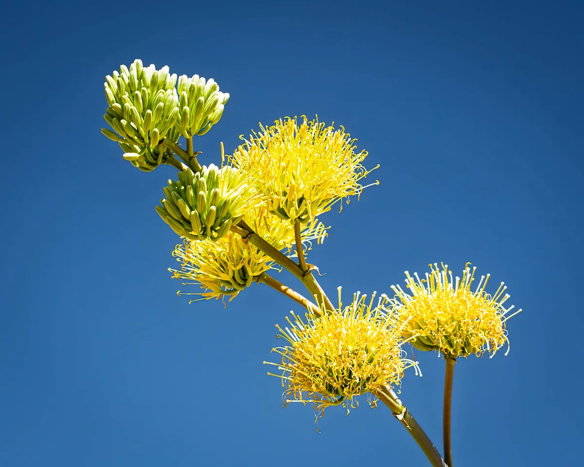 10 Top Rated Art Gallery Museums in Brno (2026 Guide)