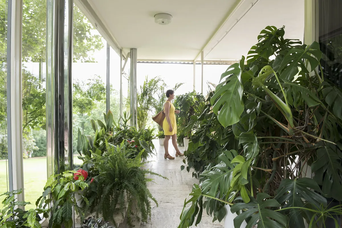 Villa Tugendhat Garden Ticket Availability and Rules