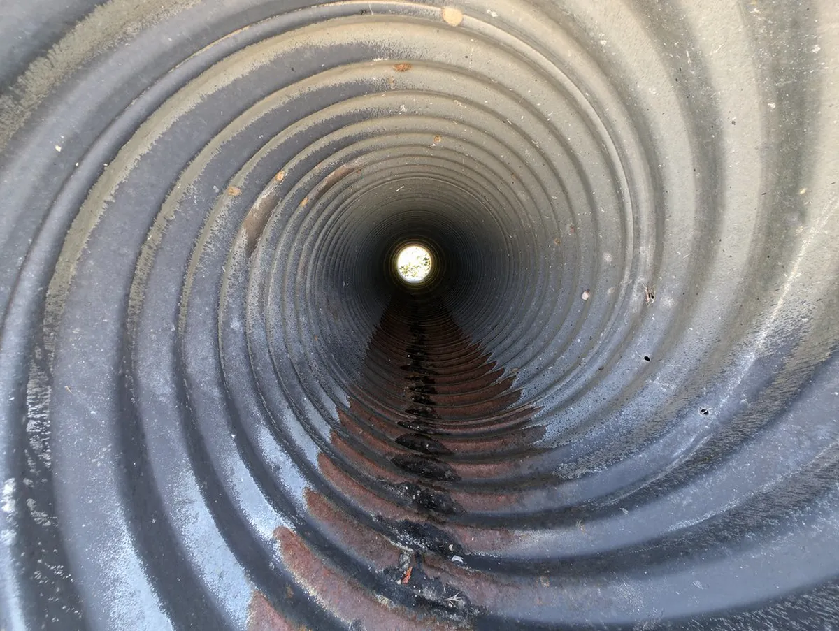 Wilson Forest Viewpoints Guide: Best Brno Views