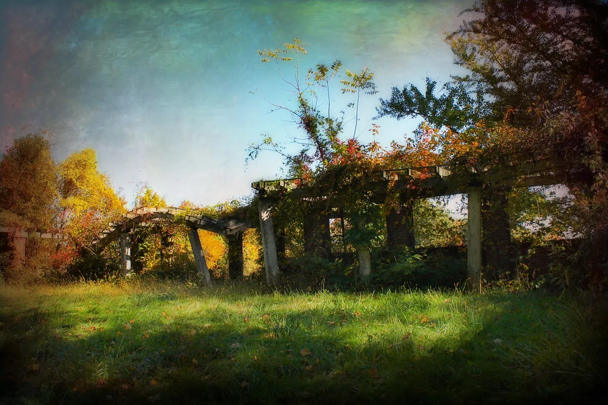 Seminary Garden Viewing Platform Opening Hours Guide