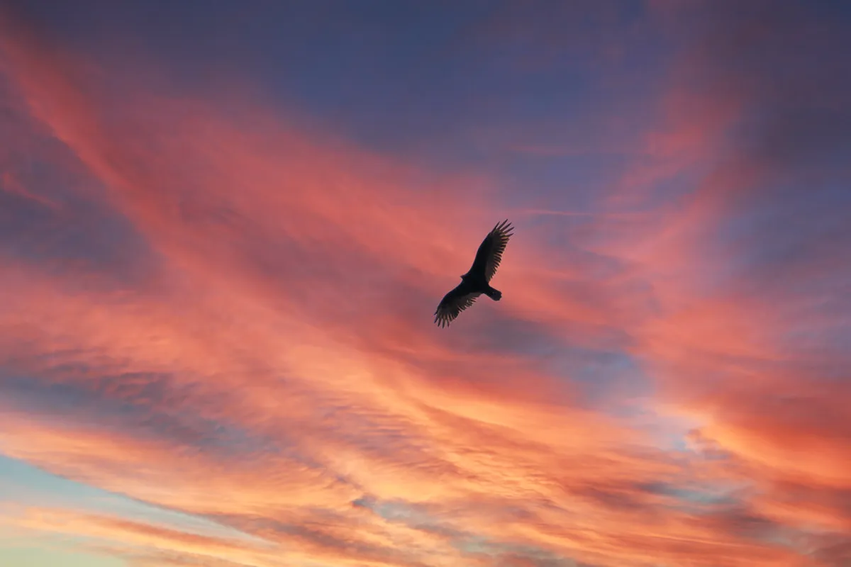 Sightseeing Stops Between Český Krumlov and Salzburg