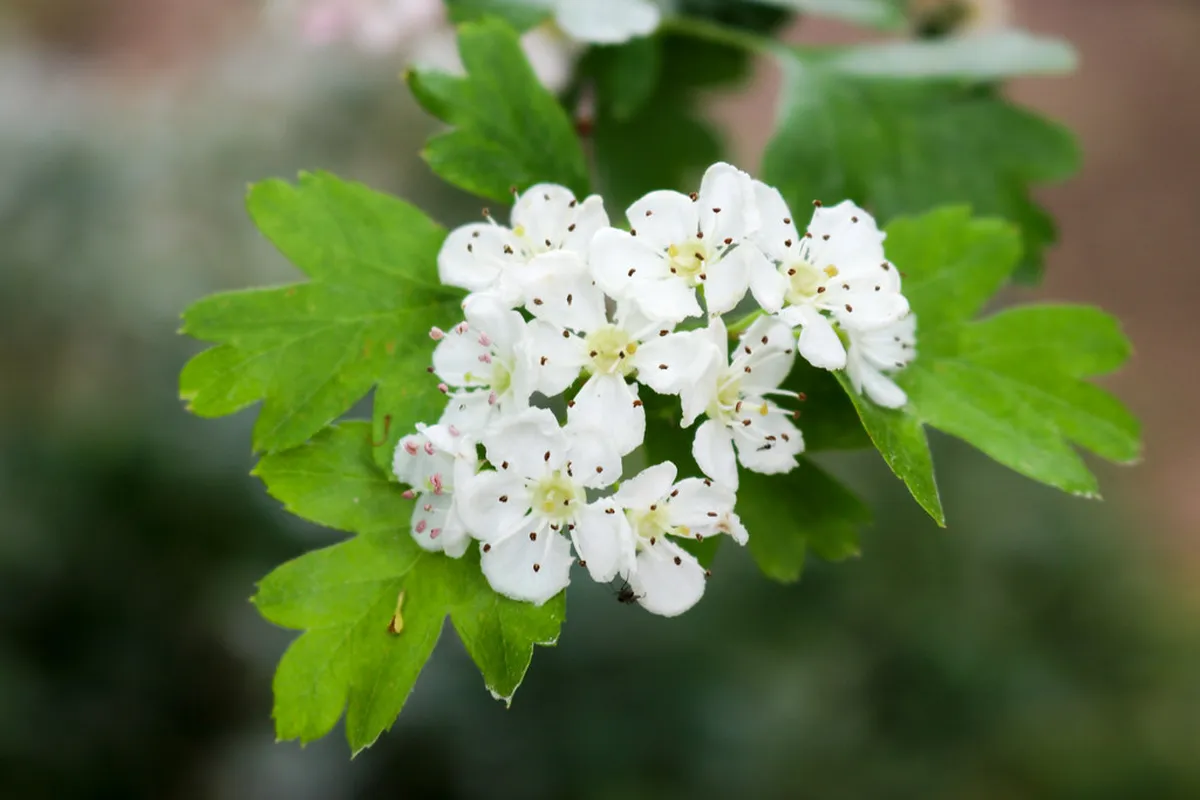 Best Place to Propose in Karlovy Vary: Top 5 Spots