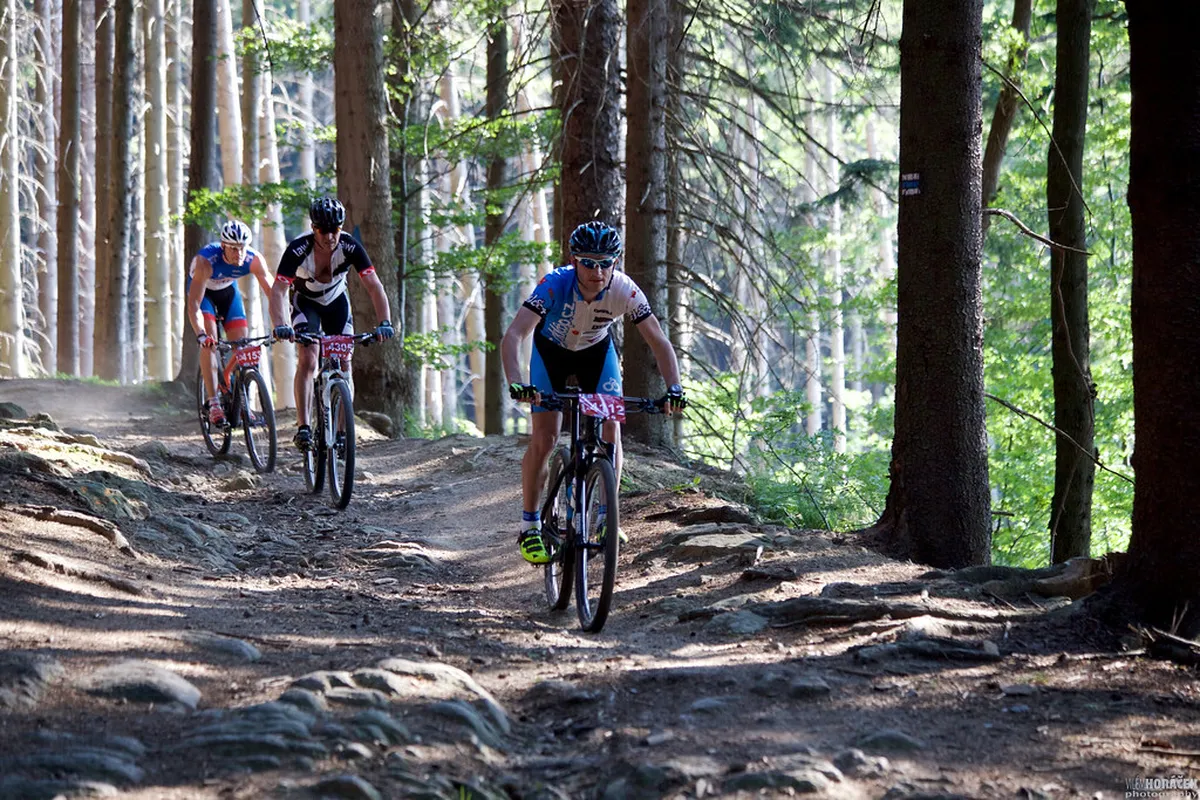 Slavkov Forest Nature Reserve Trip: 10 Best Places