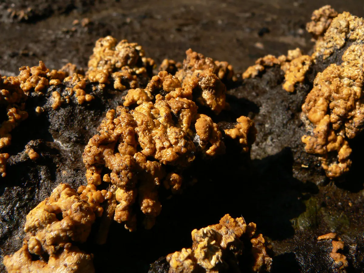 Soos National Nature Reserve Guide: Top 10 Things to Do