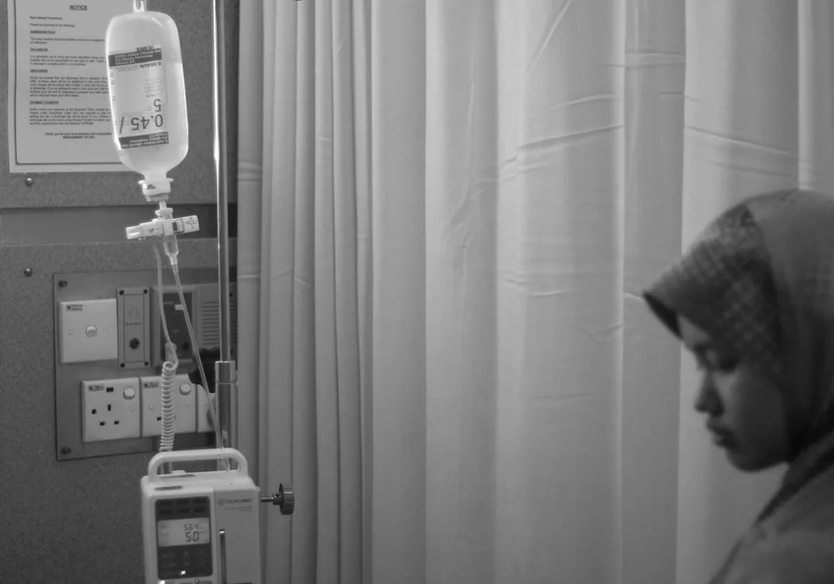 Visiting Olomouc Botanical Garden and Rosarium: A Guide