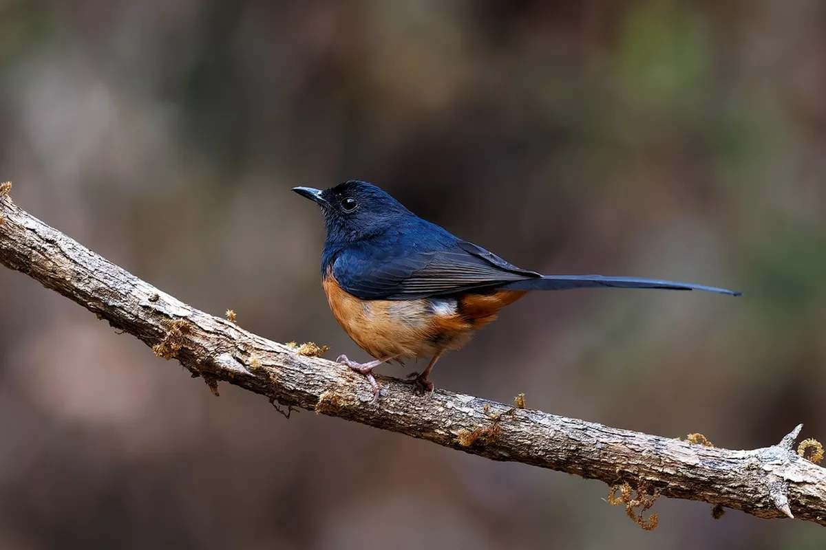 Is it safe to visit Plzeň viewpoints at night?
