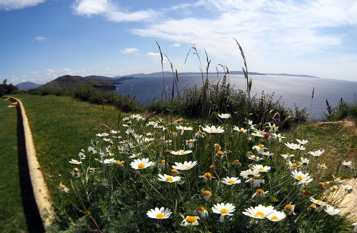 10 Best Things to Do at the Meditation Garden in Plzeň
