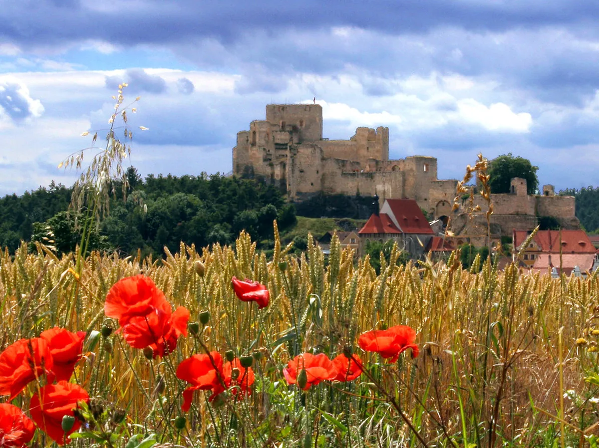 Rabí Castle Largest Ruins Guide: Visit Bohemia’s Giant