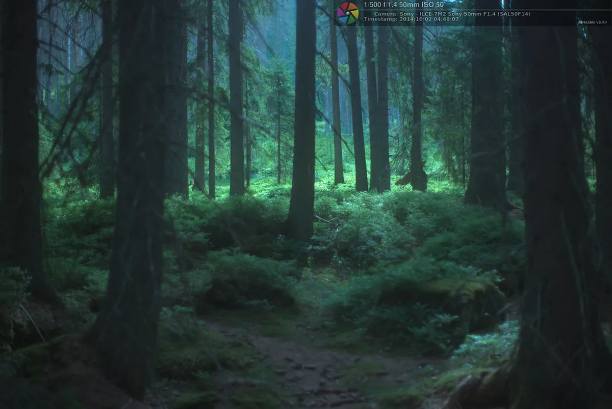 10 Best Šumava National Park Hiking Trails from Plzeň