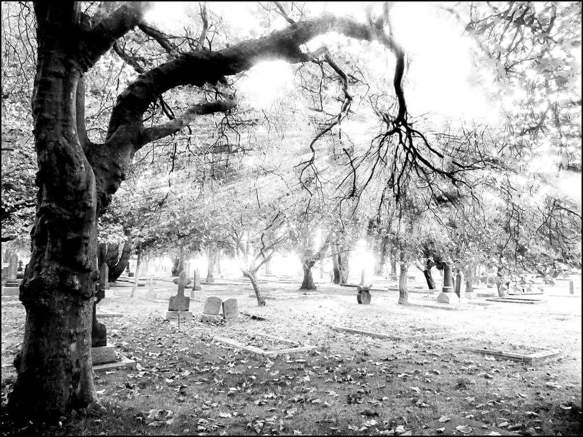 11 Best Attractions in Prague: Top Sights & Hidden Gems (2026)